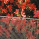 QUADRA 10 Plastic Mesh, 1x5m, 10x10 mm Mesh Size, Silver