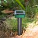 Solar mole and rodent repeller for garden