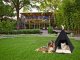 Tipi tent house and bed for dogs and cats