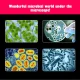 Microscope with up to 1200x Magnification with Accessories