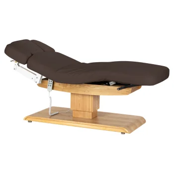 Electric SPA Treatment Bed Sillon Relax, Dark Brown