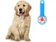 Rechargeable LED Dog Collar Light for Night Walking, USB Clip-On Safety Pendant