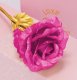 Eternal Golden Rose with Pink Petals Gift