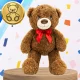 Large Teddy Bear 50 cm Soft Plush Toy for Kids, Brown