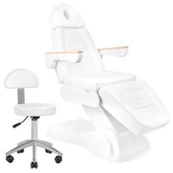 Sillon Lux 273b Electric Beauty Chair with 3 Motors and Stool 304, White
