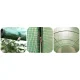 Plonos Polytunnel Greenhouse 10x6.5 ft Walk-in Garden Hoop House