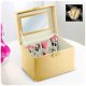 Massido MS-706 Cosmetic Case, Gold