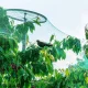 Anti-Bird Net 19 x 19 mm, 4 m Width, Green