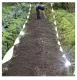 Repest Holographic Bird Repellent Tape 80m