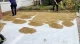Geotextile PES 150 g/m², 4 × 50 m (200 m²), White