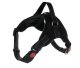 Adjustable No-Pull Dog Harness with Handle M