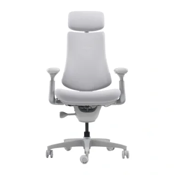Libernovo Omni Dynamic Ergonomic Chair 45 cm, Gray