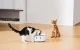 Catlink F03 Standard Smart Cat Food Dispenser with RFID