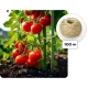 Walk-in Garden Greenhouse 6.6x6.6 ft (43 sq ft) Plonos Polytunnel for Plants