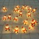 Christmas Lights Santa Claus