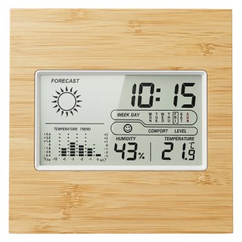 Setty Y2052 Bamboo Weather Station
