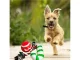 Festive Dog Toy Set, 3 pcs