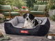 Plush Velour Dog Bed Sofa for Medium Dogs, Comfortable Pet Lounger with Washable Cover