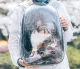 Pet Carrier Backpack for Cats and Dogs, Grey