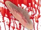 Fake Slit Throat Wound with 10ml Fake Blood for Halloween