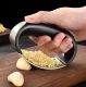 Stainless Steel Garlic Press Black/Silver