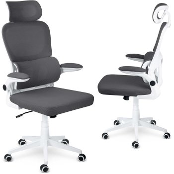 Ergonomic Mesh Office Chair Sofotel Formax, Graphite