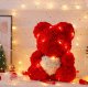 Rose Bear with Heart and LED Lights, 23 cm, Red and White
