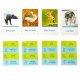 On the Trail Educational Animal Trivia Board Game for Kids 8+ Alexander