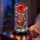 Amžinoji rožė stikliniame gaubte su RGB LED apšvietimu