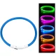 LED RGB Glowing Dog and Cat Collar, Size L (Up to 70 cm)