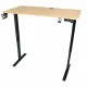 Electric Height Adjustable Desk 120x60 cm with Memory Panel, Light Wood/Black