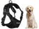 Dog Harness with Leash, Reflective, Size XL, Black
