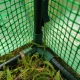 Foil Tunnel Garden Greenhouse for Vegetables Plants 3x2x2m