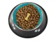 Non-Slip Stainless Steel Dog Bowl, 1L, Black and Blue