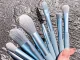 Makeup Brush Set with Case, 8 Pcs
