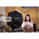 Godox ML100 Bi-color Kit 1 LED Video Light
