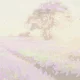 Ikonka Paint by Numbers Lavender Field, 50x40 cm