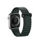 Dux Ducis Armor Strap Silicone Magnetic Watch Band for Apple Watch 42/44/45/49 mm, Green
