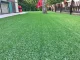 Artificial Grass IRISH MAT PLUS 2x5m, 32mm, Green