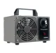 Bigstren 21208 Ozone Generator