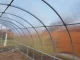 Greenhouse KLASIKA TUBE 3x6m (18m2) with Foundation and 4mm Polycarbonate