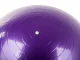 Gymnastic Ball with Pump 65cm, Purple