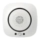 MOES WSS-S-GL Wi-Fi Gas Leak Detector