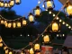 Solar LED Garden Garland with 30 Lanterns, 6.3m, Black
