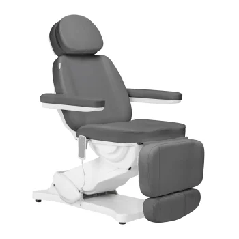 Sillon Classic Electric Beauty Chair with 3 Motors, Grey