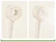 Shower Head, 5 Functions, with Button, Cream