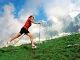 Nordic Walking Pole with Cork Handle, Black (1 pc)