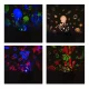 Izoxis Night Light with Star / Underwater Projector, Black