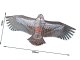 Flying Kite Eagle, 200cm