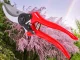 Hand Pruner Shrub Pruning Shears Garden Tool, Red